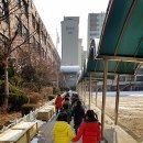 등양초등학교 Daum카페