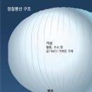 중국이 미국에 날린 풍선 크기 및 구조 이미지