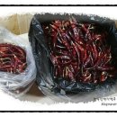 단양우리한옥민박 이미지