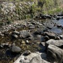 차다목장 이미지