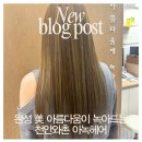 아녹헤어
