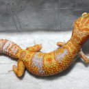(주)JMG 이미지