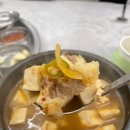 마카돈 이미지