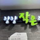 양양 작은영화관 좌석 및 예매 좌석 가격 후기