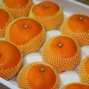 건영농장 이미지