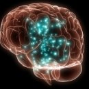 쉬는나무한의원 이미지