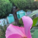 금당중학교옆 이미지