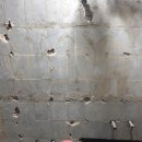 국화동성 이미지