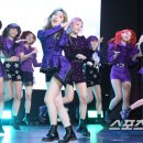 인하쿠나마타타 이미지