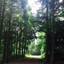 바른마음내과의원 이미지