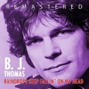 Raindrops Keep Falling On My Head(B.J.Thomas) 이미지