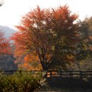 아가페 칼국수 이미지