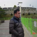 일일관광
