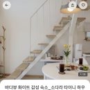 소다라타이니하우스