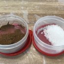 호동맛집가든 이미지