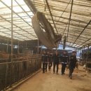 광명축사 이미지