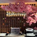 골드PC(인-464호) | 마티나라운지 인천공항 제1터미널 동편 방문후기 위치 대기현황 시설 음식