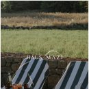 하우스마지 이미지