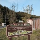 율도근린공원 족구장 | 대전풋살장 명암근린공원 풋살장 이용후기 | 대관방법, 주차, 화장실, 잔디 상태