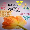 벌과나비 이미지