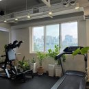 더바디코치 이미지