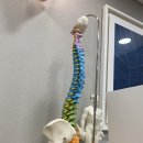 함께웃는한의원 이미지