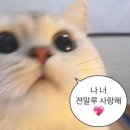 대나무횟집 - 밀양시 산외로 42-24 | 대나무횟집
