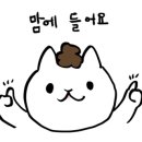 뉴트리이펙트 이미지