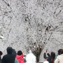 함양얼음 이미지