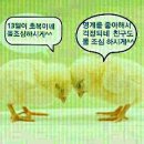 골라먹는재미 이미지