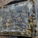 바다풍경펜션도시어부 이미지