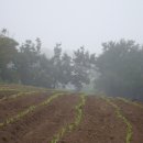 문곡농장 이미지