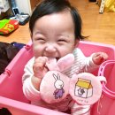 정인태권도 이미지