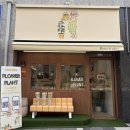 평화 | [인천/검단] 검단신도시 꽃집 예쁘고 감성 꽃다발 내면의 평화 후기