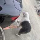 연안충전소 이미지