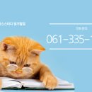 글라스스터디 빛가람점 이미지