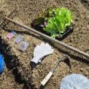 대원농장 이미지