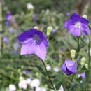 세영농장 이미지