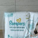 ㈜터치터치 | 팸퍼스 아기 팬티기저귀 신제품 터치오브네이처 찐 사용 후기