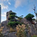 신진부대찌게 이미지