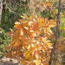 관악산 자연학습장 화장실 | 안양 근교 등산 추천 관악산 단풍 산행