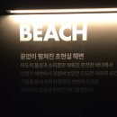 블랙뮤지엄 | 강릉 8개월 아기랑 가볼만한 곳 아르떼뮤지엄 내돈내산후기
