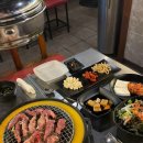 신마포갈매기 이미지