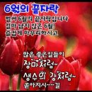 6월의 끝자락 이미지