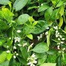 창신어린이집 이미지