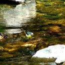 내일을향하여 이미지