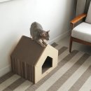 황금복권 이미지