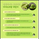 양재 매봉역 대형신상카페 워크샵 바이 배스킨라빈스 방문후기