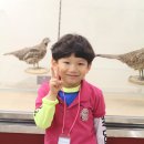 경성대학교박물관 이미지