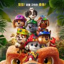 퍼피멍멍 네이버블로그